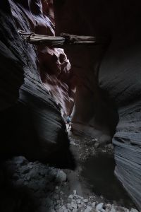 Diviký Buckskin Gulch